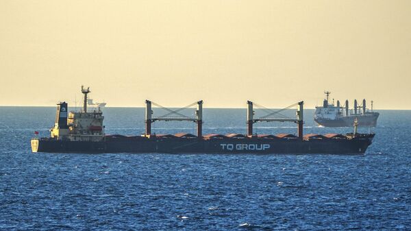 Karadeniz tahıl koridoru girişimi boğazlar istanbul gemi - Sputnik Türkiye