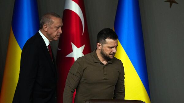 Türkiye Recep Tayyip Erdoğan  Ukrayna Zelenskiy NATO Batı - Sputnik Türkiye