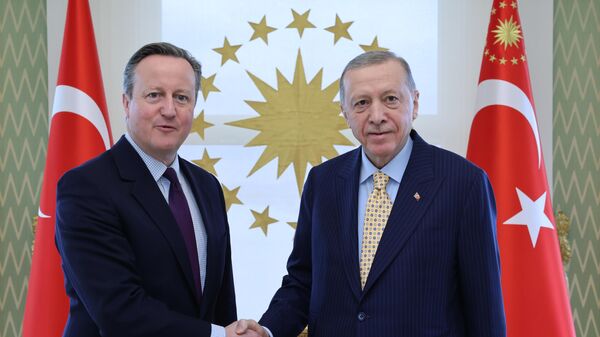 Erdoğan, İngiltere Dışişleri Bakanı Cameron'u kabul etti - Sputnik Türkiye