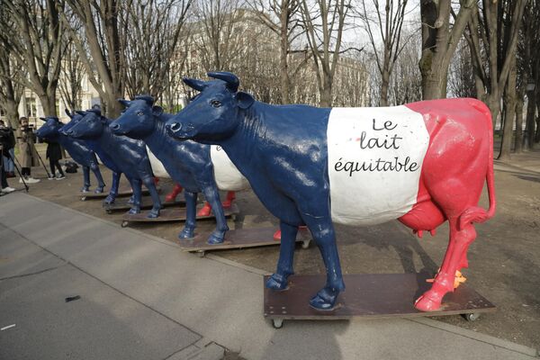 Paris'te bulunan Ulusal Meclis'in önünde bir araya gelen bağımsız süt üreticileri protesto düzenledi - Sputnik Türkiye