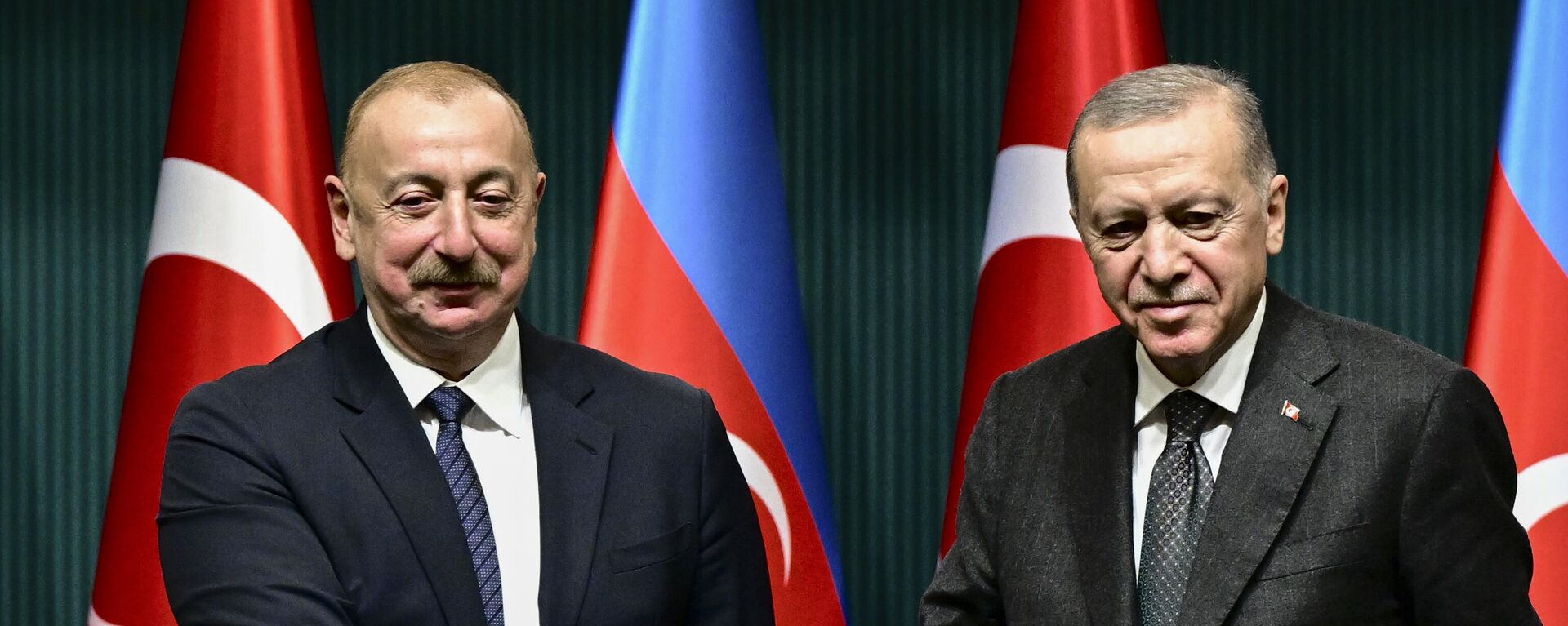 Cumhurbaşkanı Recep Tayyip Erdoğan, Azerbaycan Cumhurbaşkanı İlham Aliyev  - Sputnik Türkiye, 1920, 19.02.2024
