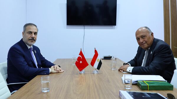 Dışişleri Bakanı Hakan Fidan, G20 Dışişleri Bakanları Toplantısı’na katılmak üzere geldiği Brezilya’da Mısır Dışişleri Bakanı Samih Şukri ile bir araya geldi. - Sputnik Türkiye