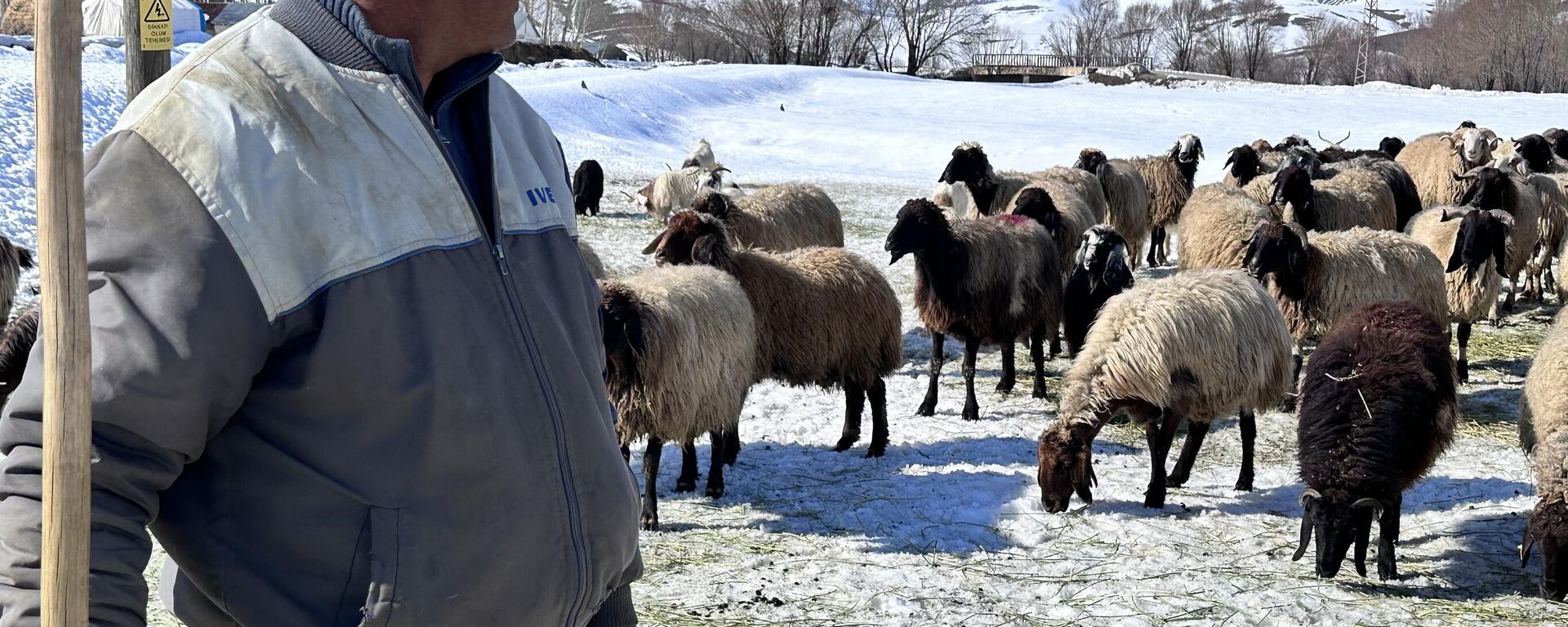Hakkari'nin Yüksekova ilçesinde kış mevsiminde 40 bin TL'ye kadar çalışacak yerli çoban bulamayınca İran'dan çoban getirdiler. - Sputnik Türkiye, 1920, 01.03.2024