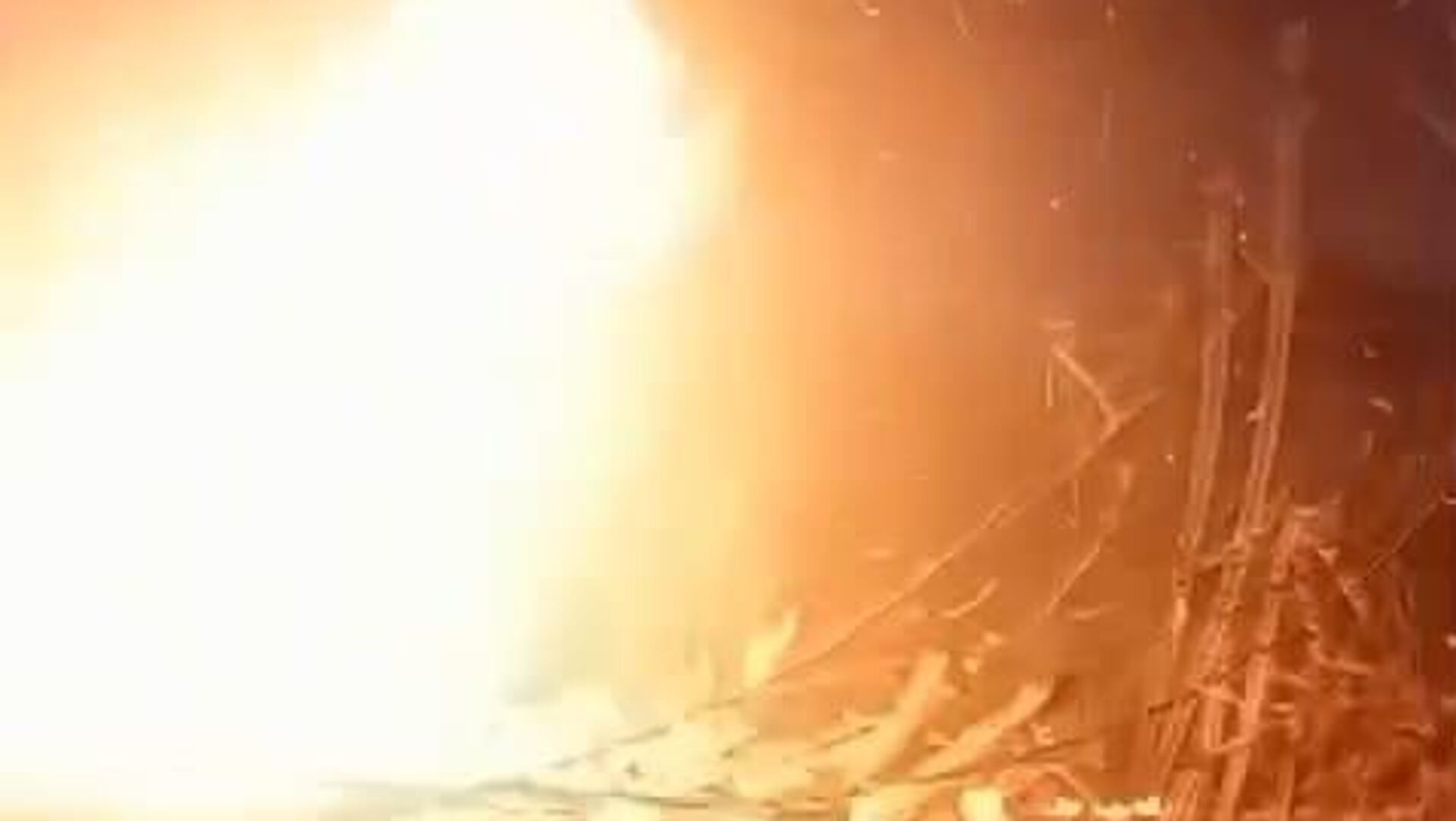 Rize'nin Pazar ilçesinde ormanlık alanda çıkan yangında 10 dönümlük arazi zarar gördü. - Sputnik Türkiye, 1920, 03.03.2024