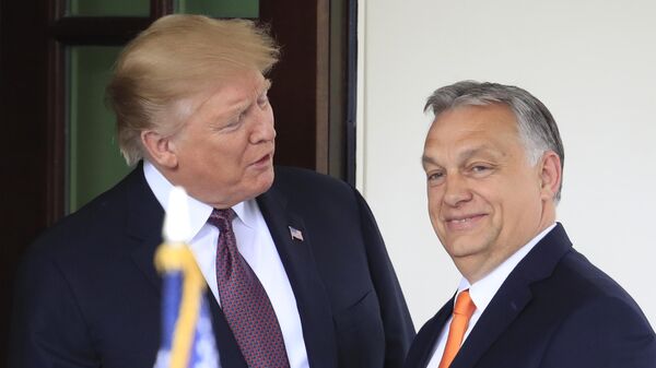 Orban Trump - Sputnik Türkiye