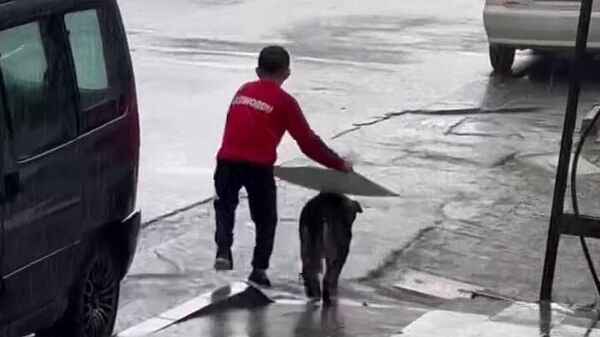 Küçük çocuk yağmurda sokak köpeğini korudu - Sputnik Türkiye