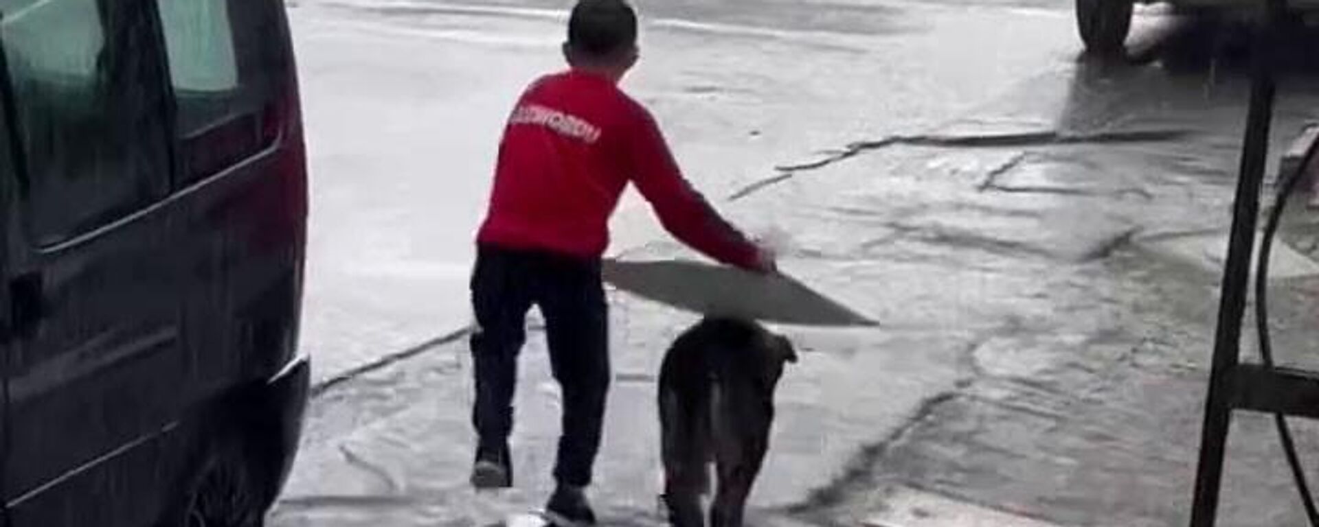Küçük çocuk yağmurda sokak köpeğini korudu - Sputnik Türkiye, 1920, 22.04.2024