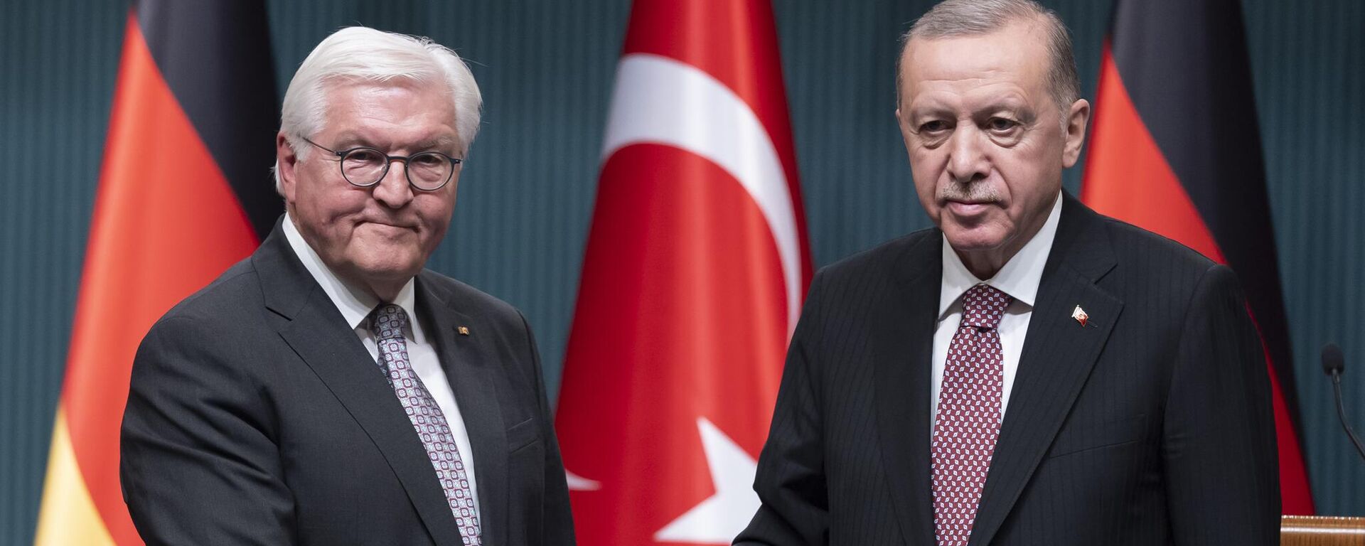 Cumhurbaşkanı Recep Tayyip Erdoğan, Almanya Cumhurbaşkanı Frank-Walter Steinmeier  - Sputnik Türkiye, 1920, 04.02.2025