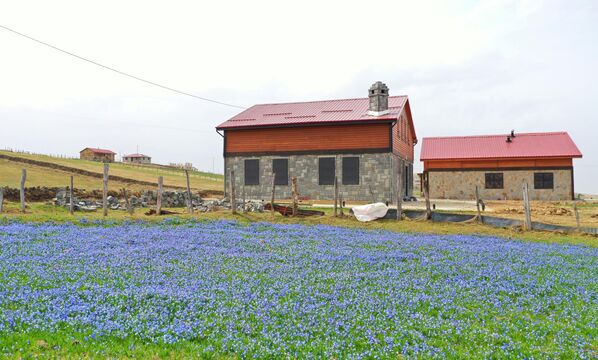 Çiçekleriyle her geçen yıl adından söz ettiren yayla, fotoğraf sanatçılarının da bu tarihlerde ilk duraklarından biri oluyor. - Sputnik Türkiye