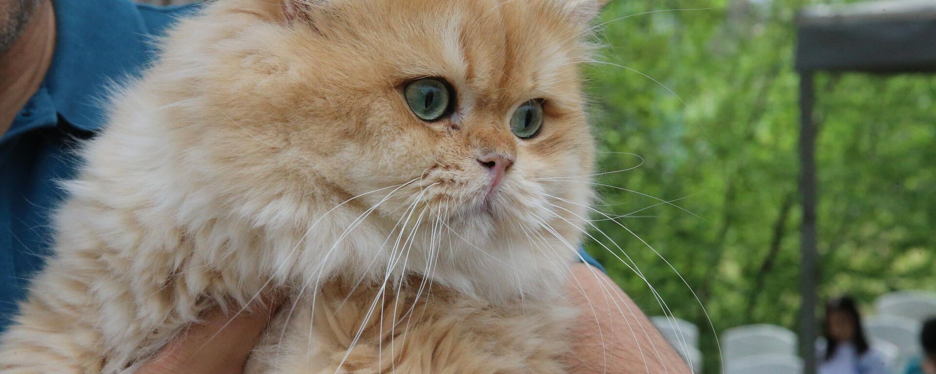 Arşiv fotoğrafı - Sputnik Türkiye, 1920, 20.02.2026