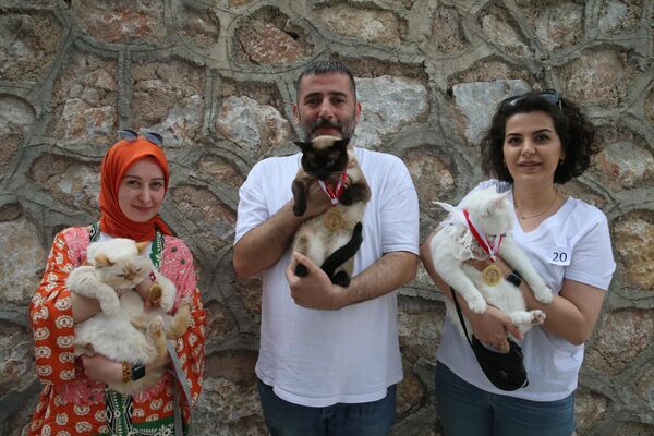 Bakımlı kategorisinde Feyza Gökçe&#x60;nin kedisi Şila, süslü kategorisinde ise Songül Elce&#x60;nin kedisi Salen birinci oldu. - Sputnik Türkiye