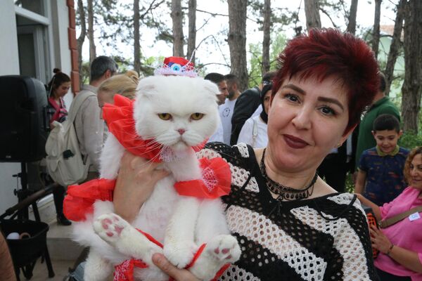 Yarışmada dereceye giren kedilere madalya takıldı. - Sputnik Türkiye