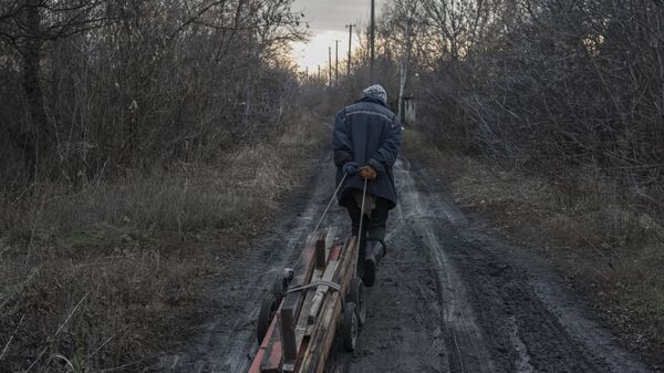 Un residente local en un camino rural cerca de la ciudad de Górlovka de la región de Donetsk - Sputnik Türkiye