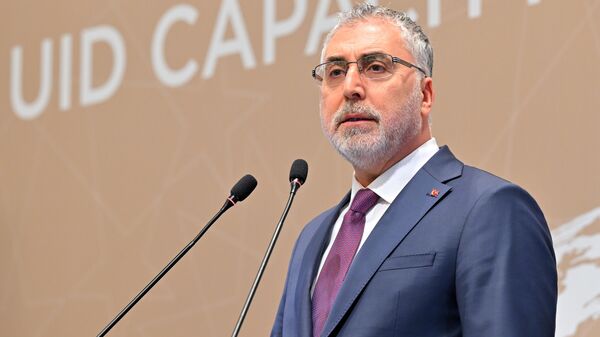 Çalışma ve Sosyal Güvenlik Bakanı Vedat Işıkhan  - Sputnik Türkiye