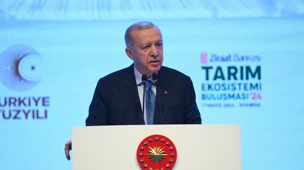 Erdoğan - Sputnik Türkiye