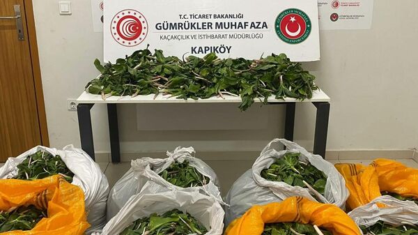 Van'ın Saray Kapıköy Gümrük Kapısı'ndan Allium giganteum (dev soğan) bitkisini yurt dışına çıkarmaya çalışırken yakalanan İran uyruklu 6 kişiye 2 milyon 322 bin 846 lira ceza kesildi. - Sputnik Türkiye