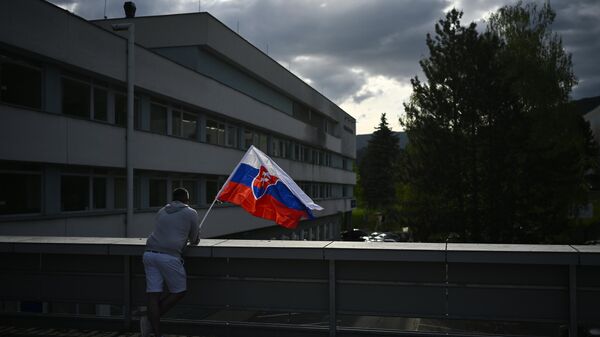 Slovakya bayrak - Sputnik Türkiye