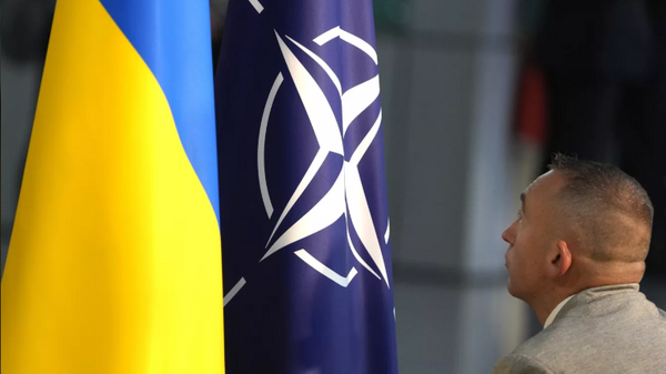 Ukrayna-NATO bayrakları - Sputnik Türkiye