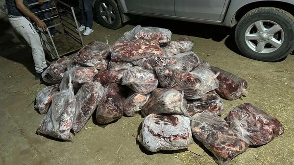 Aydın'ın İncirliova ilçesinde bir çiftliğe baskın düzenleyen jandarma ekipleri, kesilip paketlenmiş halde 1 ton domuz eti ele geçirdi. - Sputnik Türkiye