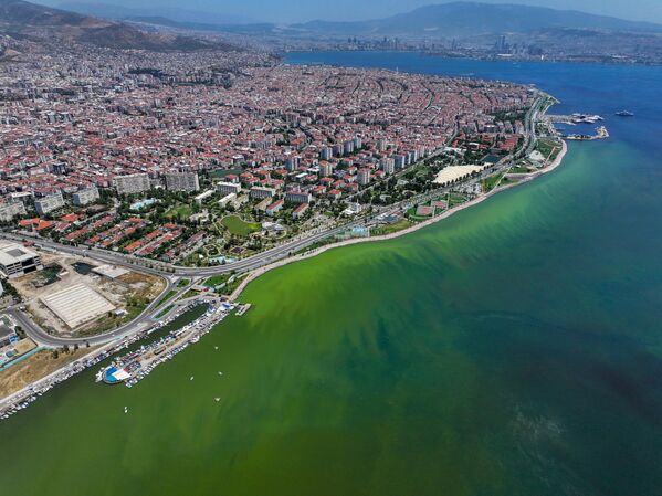 Türkiye Bilimler Akademisi (TÜBA) Çevre, Biyoçeşitlilik ve İklim Değişikliği Çalışma Grubu Üyesi ve Deniz Bilimci Prof. Dr. Doğan Yaşar, deniz suyundaki sıcaklığın artmasıyla plankton sayısının da arttığını, aşırı artışın sudaki oksijeni azaltmasıyla plankton ölümlerinin yaşandığını, bunun da renk değişimi ve kötü kokuya neden olduğunu söyledi. - Sputnik Türkiye