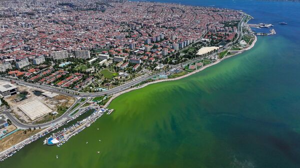 İzmir'de plankton patlaması denizin rengini değiştirdi - Sputnik Türkiye