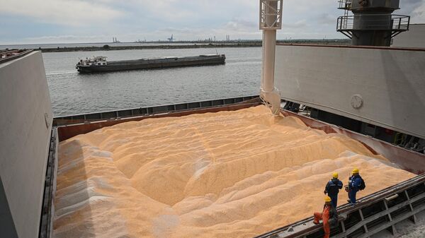 Подготовка к экспорту украинского зерна в румынском порту - Sputnik Türkiye