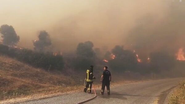Aydın'da yangın: Tarım arazisinde başladı, ormana sıçradı - Sputnik Türkiye