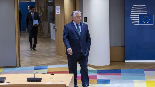 Macaristan Başbakanı Viktor Orban - Sputnik Türkiye