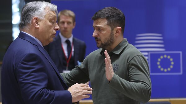 Orban Ukrayna Devlet Başkanı Vladimir Zelenskiy ile - Sputnik Türkiye