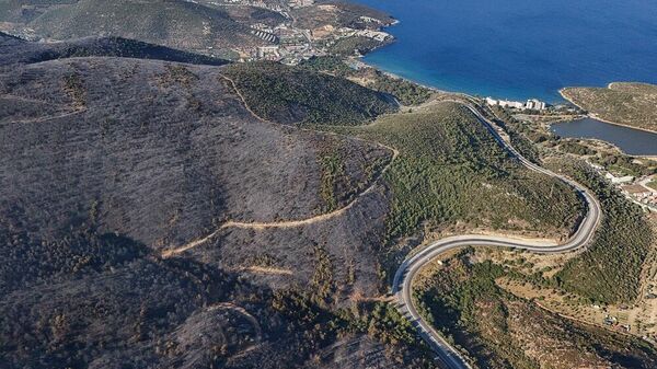 İzmir Selçuk'ta yangında zarar gören ormanlık alan havadan görüntülendi - Sputnik Türkiye
