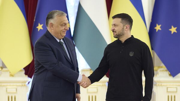 Volodímir Zelenski recibe al primer ministro húngaro Viktor Orban en Kiev, Ucrania, el 2 de julio de 2024 - Sputnik Türkiye