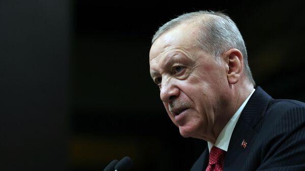 Cumhurbaşkanı Recep Tayyip Erdoğan  - Sputnik Türkiye