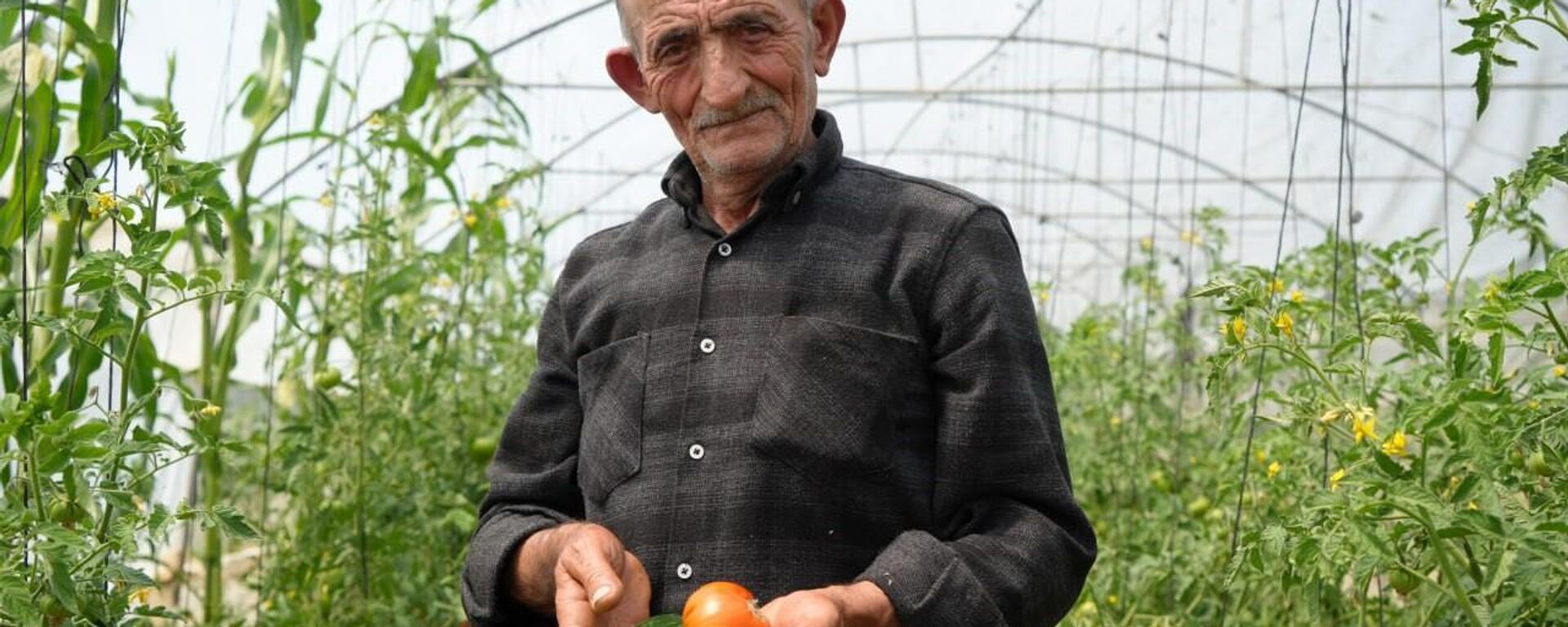 Bayburt'ta ata tohumlarıyla sebze, meyve yetiştiren 74 yaşındaki çiftçi İsmail Öksüz, ömrünü organik tarıma adadı. - Sputnik Türkiye, 1920, 06.07.2024