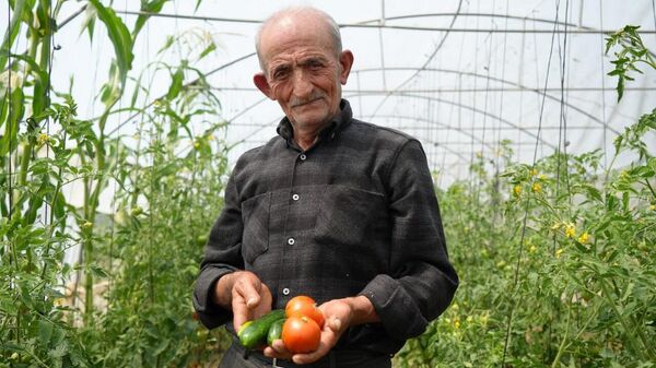 Bayburt'ta ata tohumlarıyla sebze, meyve yetiştiren 74 yaşındaki çiftçi İsmail Öksüz, ömrünü organik tarıma adadı. - Sputnik Türkiye