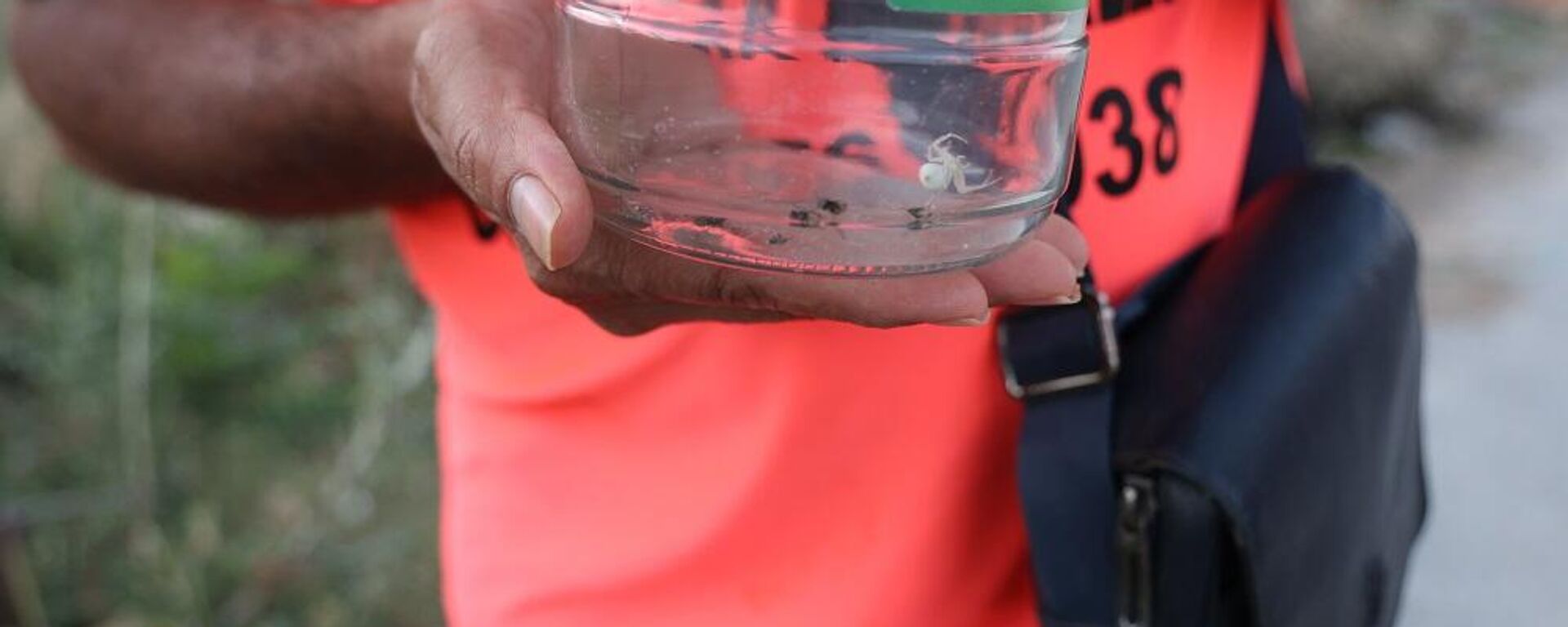 İnsan yüzlü örümceği kavanozda besliyor İnsan yüzlü örümceği kavanozda besliyor - Sputnik Türkiye, 1920, 07.07.2024