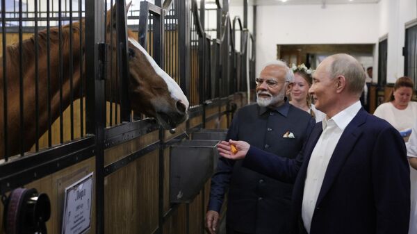 Президент РФ Владимир Путин и премьер-министр Индии Нарендра Моди во время совместного посещения конюшни в резиденции Ново-Огарево - Sputnik Türkiye