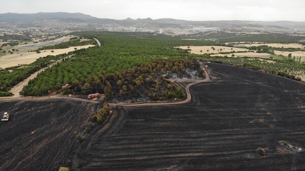 Çanakkale'de bir ayda 132 yangın: 2 bin 625 futbol sahası büyüklüğünde orman yok oldu - Sputnik Türkiye