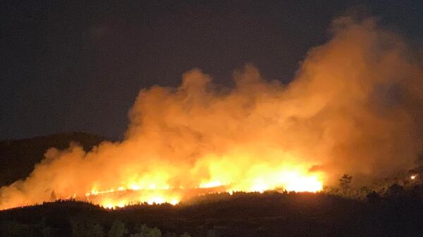 Çanakkale'nin Ayvacık ilçesinde ormanlık alanda başlayan yangına müdahale ediliyor. - Sputnik Türkiye