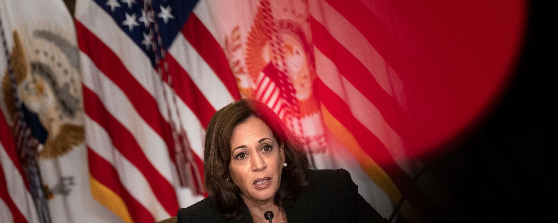 Kamala Harris - Sputnik Türkiye, 1920, 22.07.2024