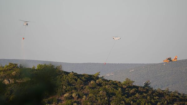 İzmir'in Urla ilçesinde çıkan orman yangını - Sputnik Türkiye