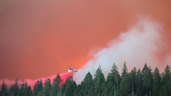 ABD'de California eyaletindeki Park Yangını giderek yayılırken, eyalet tarihinin en büyük 4'üncü orman yangını oldu. Şu ana kadar 401 bin 279 dönümlük alan küle döndü. - Sputnik Türkiye