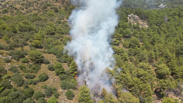 İzmir'in Karaburun ilçesinde orman yangını: Kamp alanında kalan 40 kişi tahliye edildi - Sputnik Türkiye