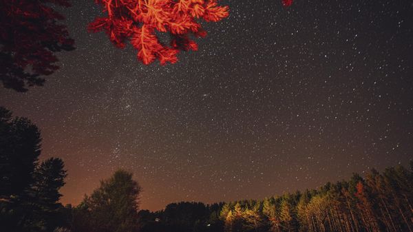 Perseid Meteor Yağmuru - Sputnik Türkiye
