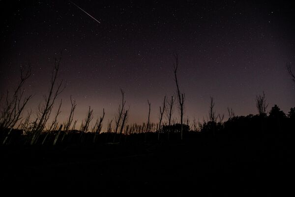 Tekirdağ&#x27;ın Kapaklı ilçesinde &quot;Perseid meteor yağmuru&quot;  - Sputnik Türkiye