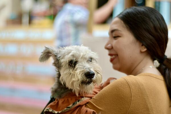 Meksika&#x27;nın Tuxtla Gutierrez kentindeki katedral, adını köpeklerin ve hastaların koruyucusu olduğuna inanılan Aziz San Rogue&#x27;dan almış. - Sputnik Türkiye