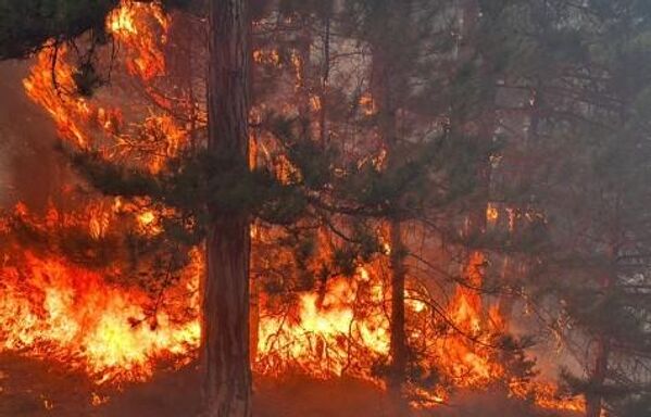 Muğla&#x27;da Ula ve Yatağan orman yangınları hakkında son durum ne?Muğla: Yatağan, Ula ve Datça ilçelerinde eş zamanlı yangınlar çıktı. Yatağan&#x27;daki yangının arıcıların körük ateşinden başladığı belirlendi. Datça’daki yangın ise kasten çıkartıldığı değerlendirilen bir yabancı uyruklu kişi tarafından başlatıldı. - Sputnik Türkiye