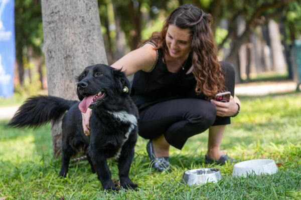 Dünya Köpekler Günü, ilk olarak 2004 yılında bir hayvan sever tarafından başlatılmış ve kısa sürede ülkere yayılarak resmiyet kazanmış. Birleşmiş Miller (BM), köpeklerin günü sebebiyle paylaştığı mesajında güvenlik güçleri ve sağlık alanında çalışan köpeklere teşekkür etti. - Sputnik Türkiye