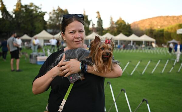 Üç gün boyunca sürecek olan yarışmanın ilk gününde duruşları, yürüyüşleri ve süsleriyle dikkat çeken köpekler ilgi odağı oldu. - Sputnik Türkiye