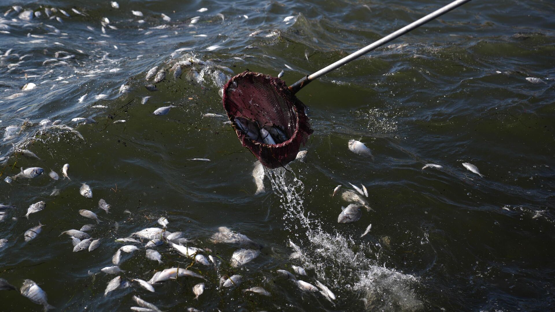 İzmir Körfezi - Sputnik Türkiye, 1920, 27.03.2025