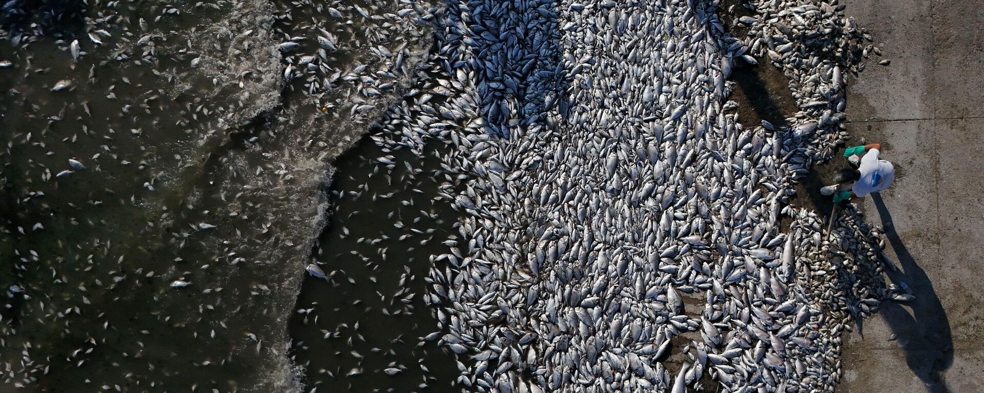 İzmir Körfezi - Sputnik Türkiye, 1920, 26.09.2024